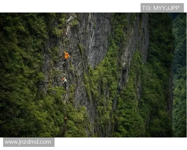 李强的攀岩之路：从初学者到顶尖高手的心路历程与挑战