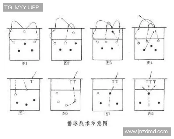 杭州排球队反击战术深度解析与实战应用探讨